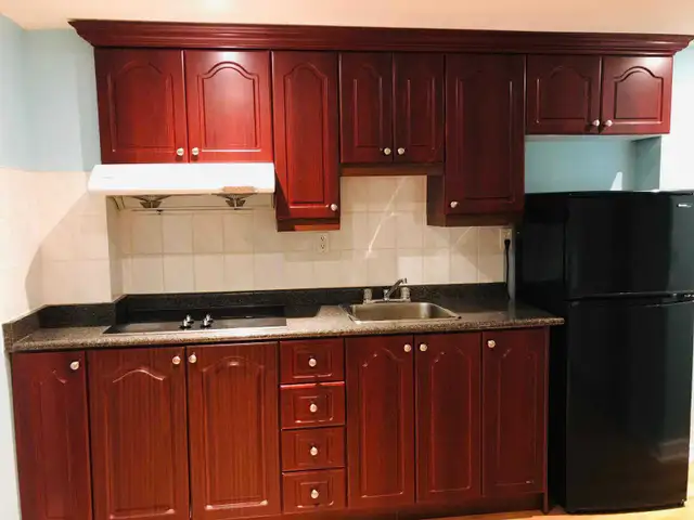 1 Bedroom Basement for Rent in North Ajax - Photo 4