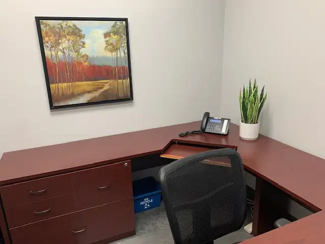 Downtown Furnished Office Space in The Executive Centre - Photo 2