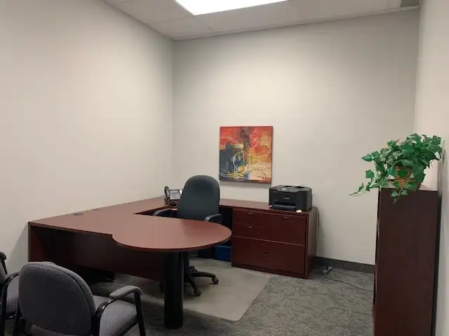 Downtown Furnished Office Space in The Executive Centre - Photo 3
