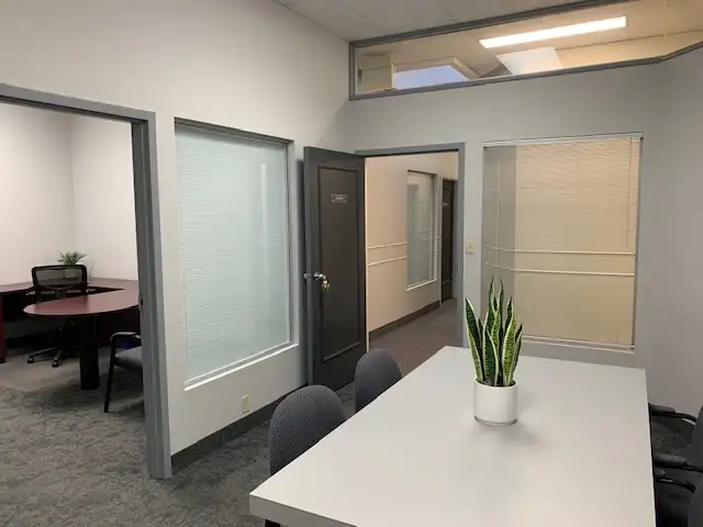 Downtown Furnished Office Space in The Executive Centre - Photo 4