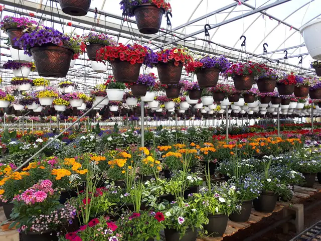 COUNTRY HILLS CALGARY - Photo 2