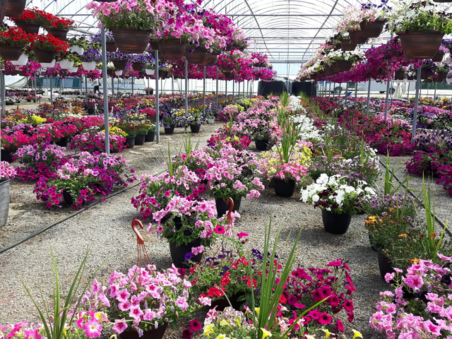 COUNTRY HILLS CALGARY - Photo 4