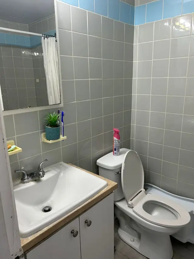 Prêt pour un déménagement à Rosemont? 3 1/2, 4 1/2 à louer - Photo 4