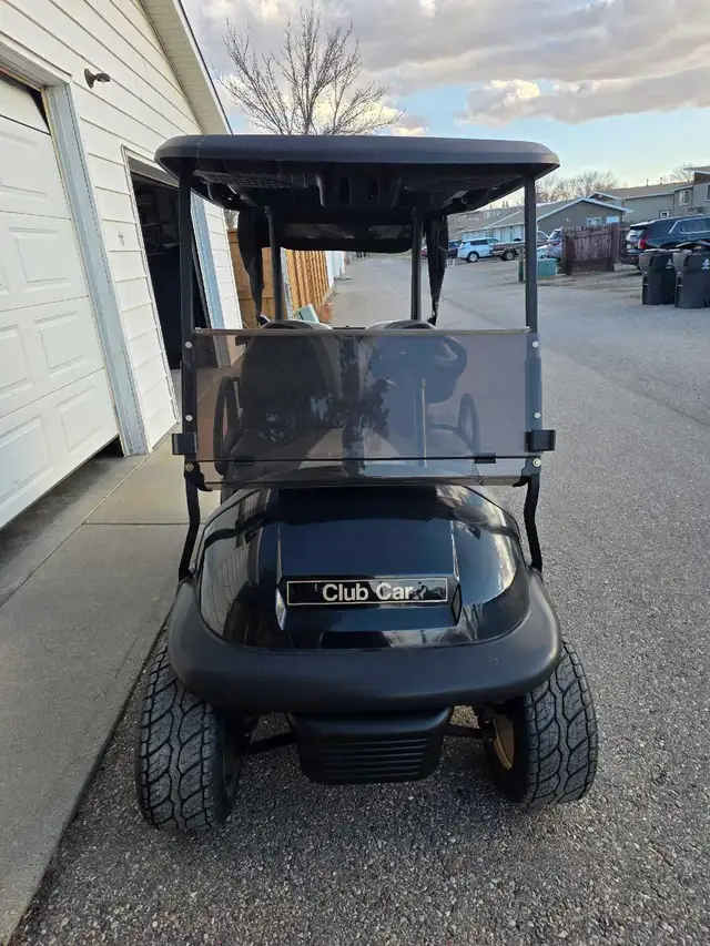 Electric Golf Cart - Photo 2