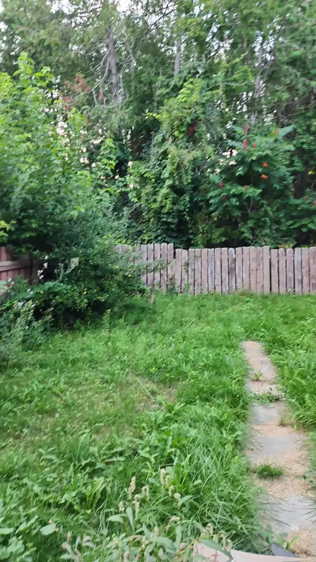 Basement for rent in Oshawa from May 1, $1300 - Photo 3