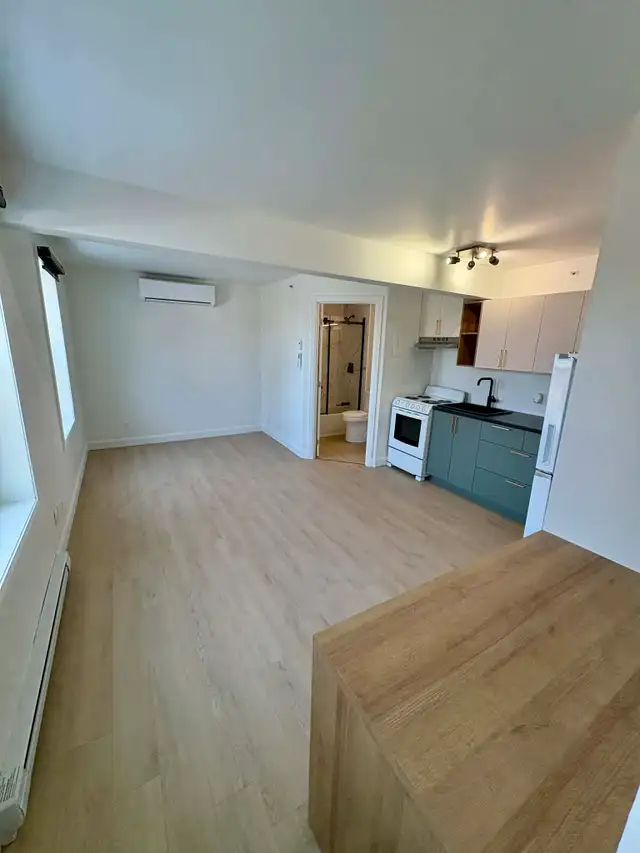 Magnifique studio 1 1/2 Limoilou RÉNOVÉ WIFI - Photo 4