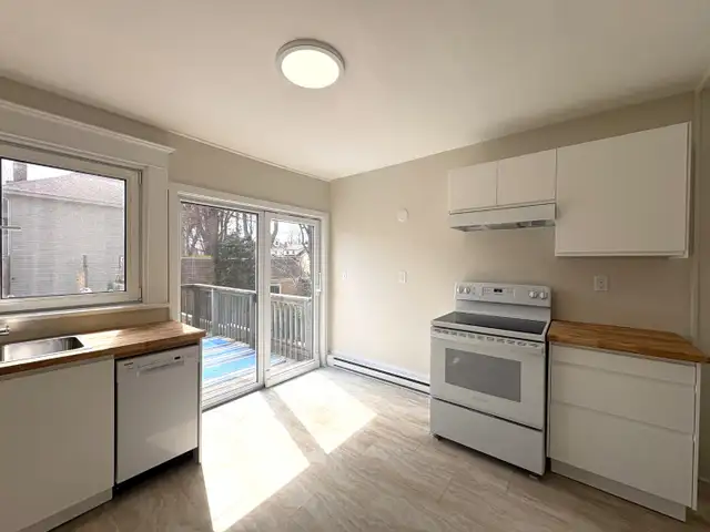 26-040 Spacious and bright flat near Quinpool Road - Photo 5