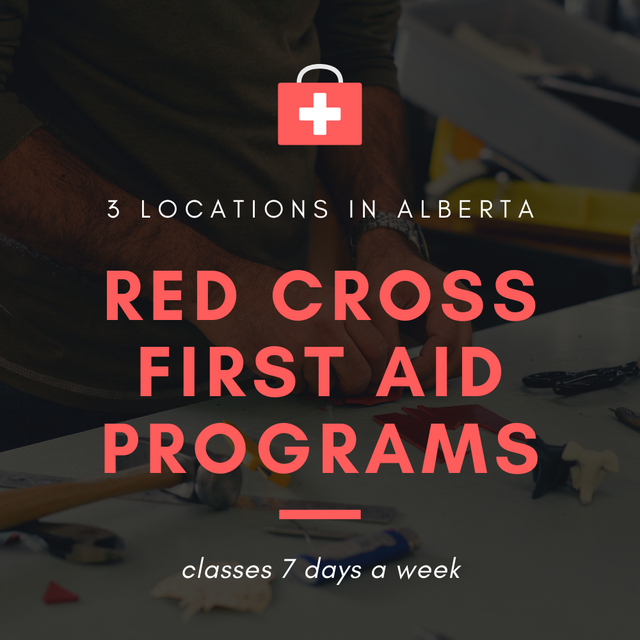 Hiring Season = Training Season | First Aid Courses Available
