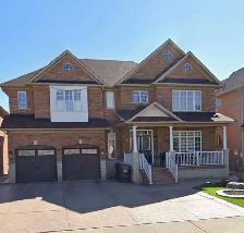 Walkout Basement for Rent (Brampton)