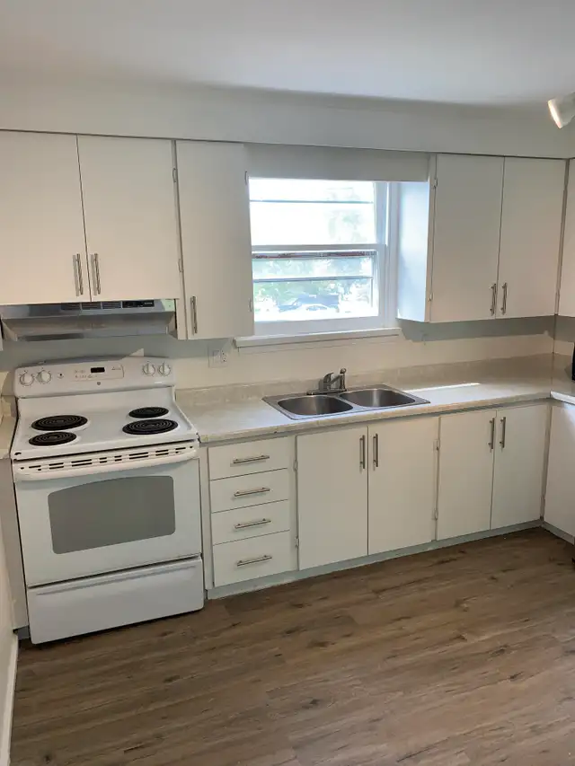 Charming 3 Bed, 1 Bath Main Floor Unit - Photo 4