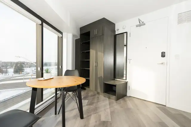 30 University Crescent - Studio Suite (Type A) Apartment for Ren - Photo 6