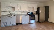 ALL INCLUSIVE Huge 2 Bedroom Apartment! Close to riverfront! - Photo 2