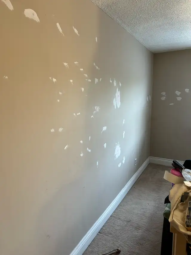 House painting - Photo 5