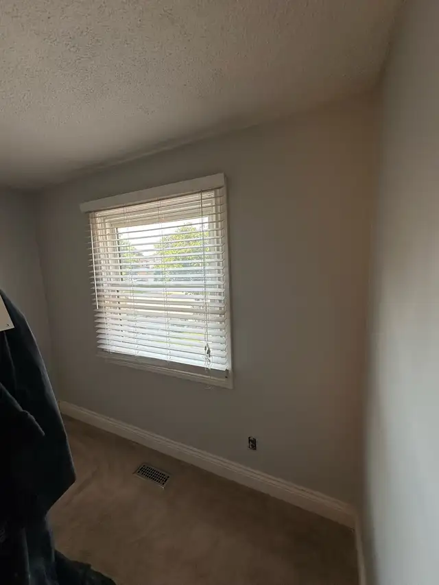 House painting - Photo 10