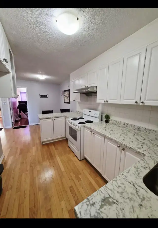 Spacious Master Bedroom for Rent – (Near GO & TTC) $1350 All-Inc - Photo 5