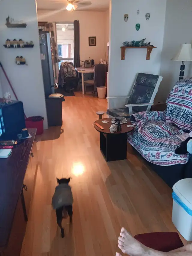 Chambre louer - Photo 2