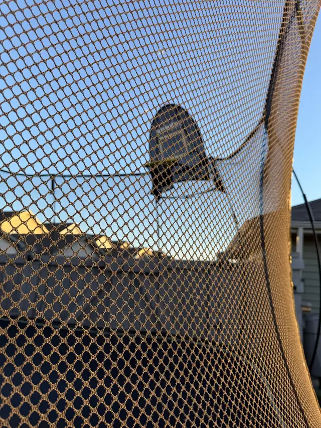 springfree jumbo square - Photo 2