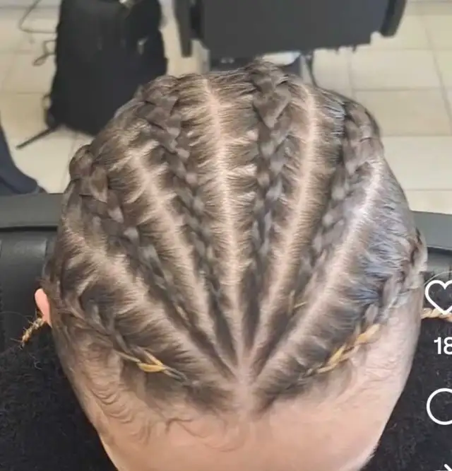 Free 6 Braids (READ DESCRIPTION)