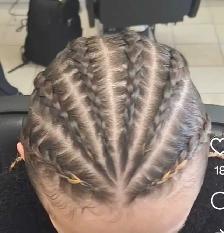 Free 6 Braids (READ DESCRIPTION)