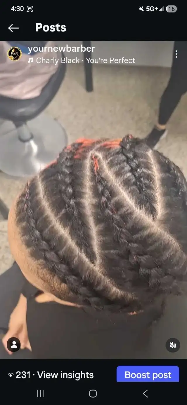 Free 6 Braids (READ DESCRIPTION) - Photo 2