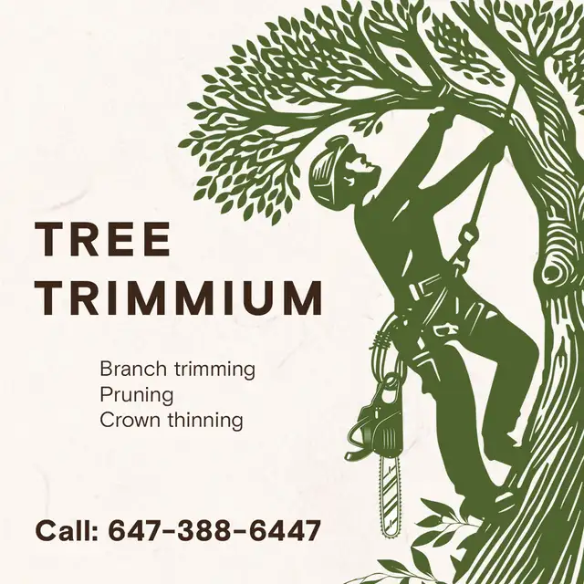 Professional Branch Trimming