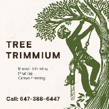Professional Branch Trimming