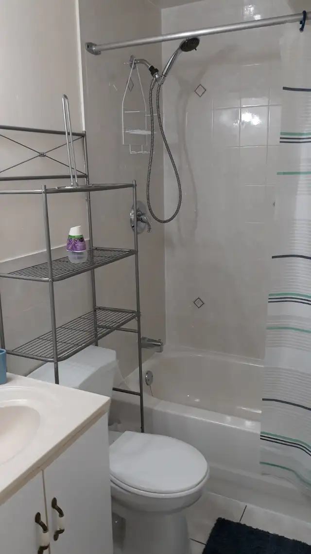 2bdrm FULLY Furnished Bsmt Apt-Near UTSC,Centennial - Photo 4