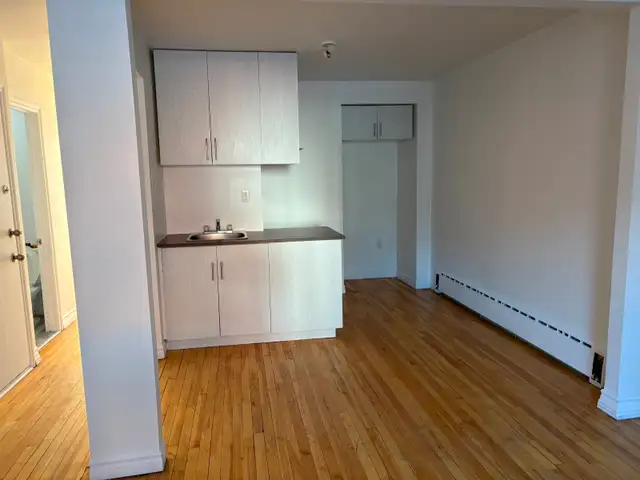 4 1/2 Apartment near Metro Station - Photo 2