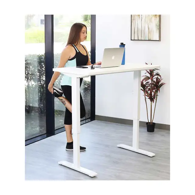 Adjustable Standing Desk  48x24 - Photo 2