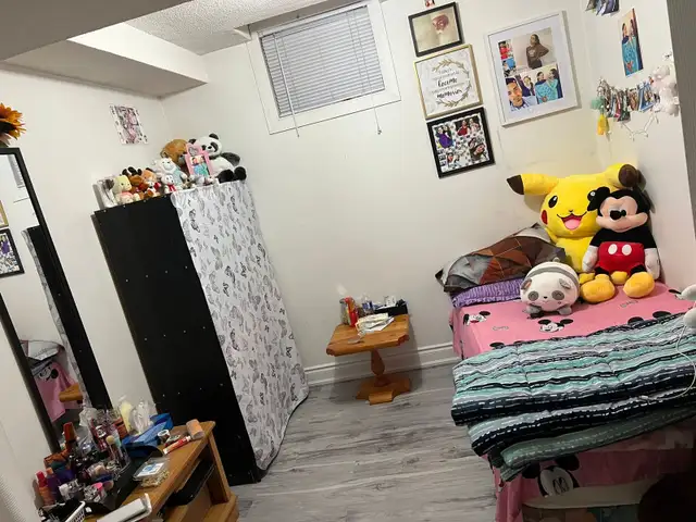 3 bedroom basement apartment available 1st May - Photo 8