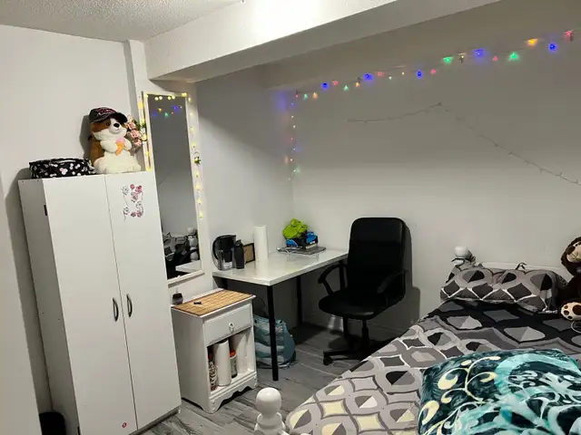 3 bedroom basement apartment available 1st May - Photo 10