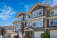 Just Listed! The Meadows At Verigin's Ridge Maple Ridge