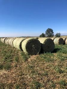 premium hay