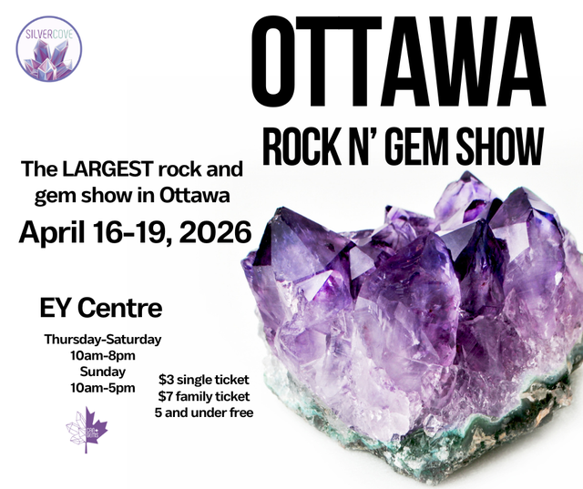 Ottawa Event Setup & Tear Down Help – Rock N’ Gem Show - Photo 2
