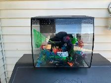 Glo Fish Tank