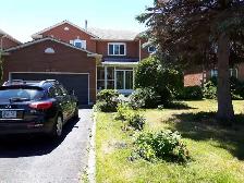 Ellesmere & Morningside big bright basement room for rent