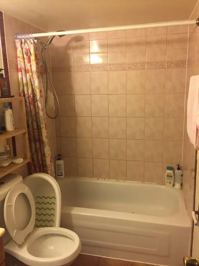 Ellesmere & Morningside big bright basement room for rent - Photo 2