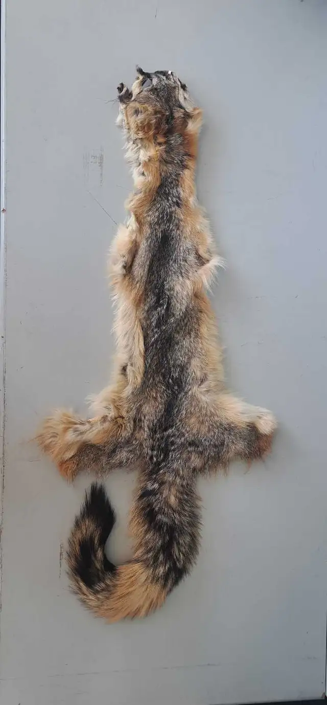 42'x15' Coyote Fur (30868965)