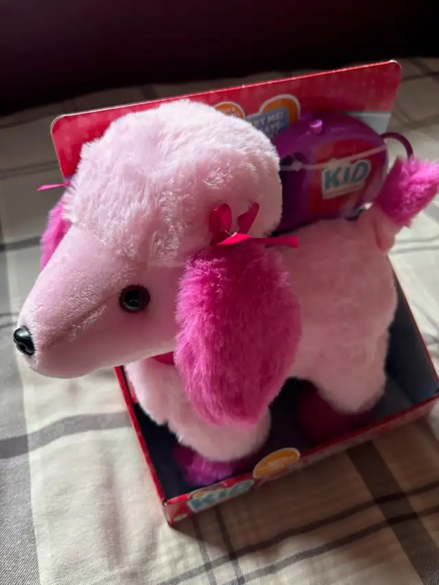 CHIEN MARCHEUR DE LA MARQUE KID CONNECTION NEUF! - Photo 2