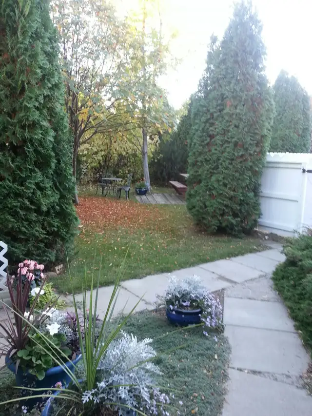 Raised bright one bedroom suite for rent, great location. - Photo 7