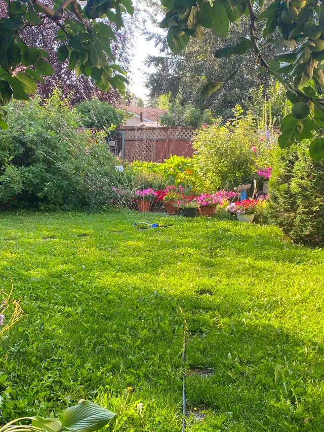 South Edmonton Lawn Mowing Services - Photo 3