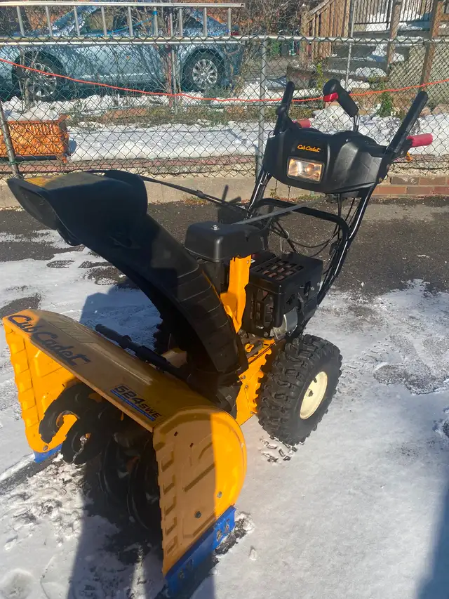 Wanted Dead or Alive (Working or Not) Snowblowers - Photo 9