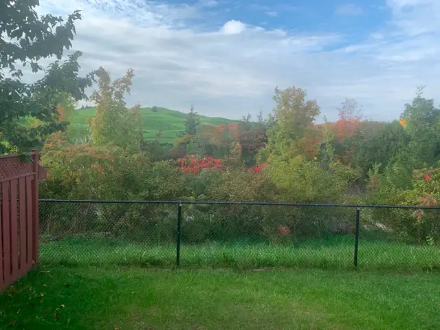 Basement for Rent in Mississauga (2 Bedrooms) - Photo 2