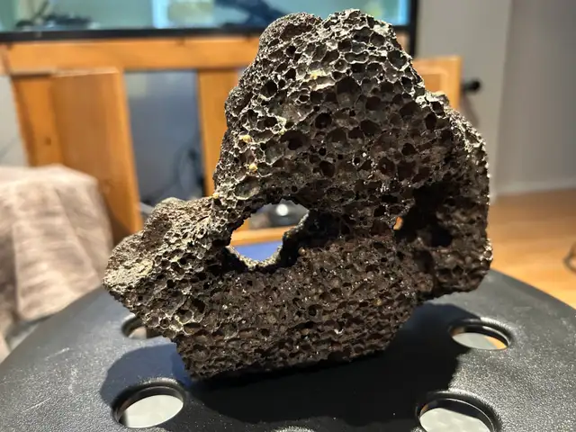 aquarium decors - Photo 4