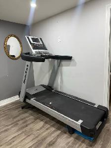 Nordic Treadmil