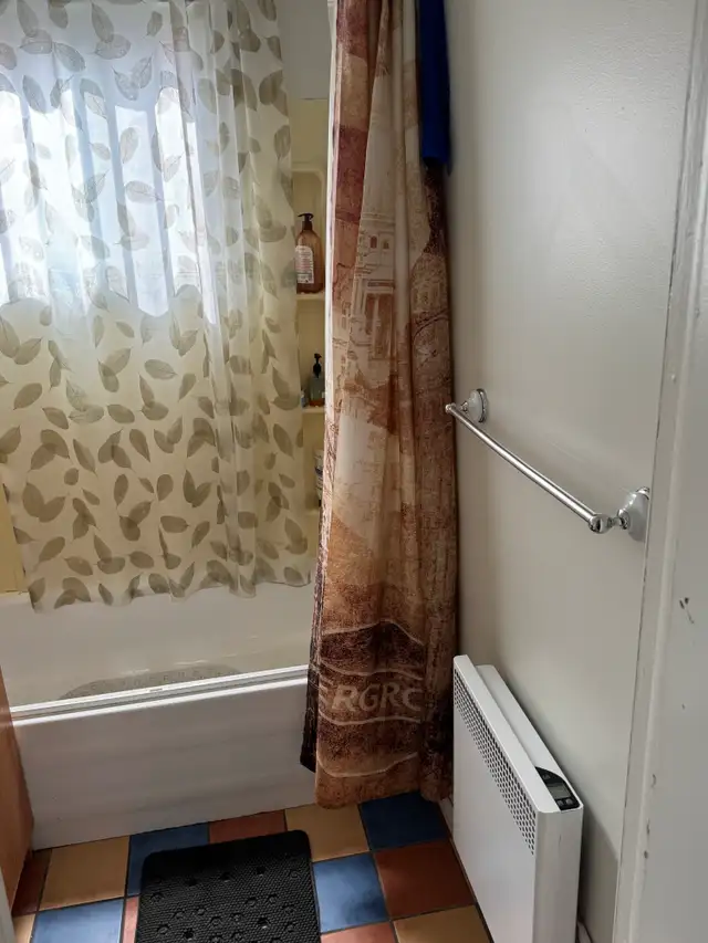 Beau grand 4 1/2, 1er étage Limoilou Juillet - Photo 12