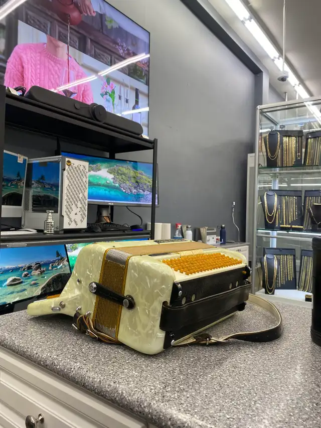 Hohner 22G 120 Bass Accordion - Photo 3