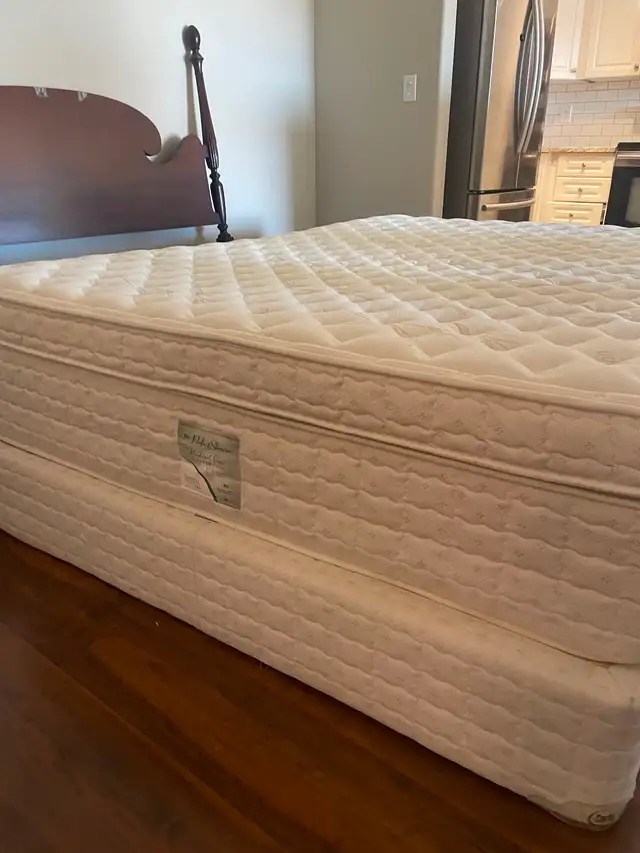 Queen size bed for $60