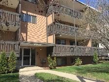ONE BEDROOM APARTMENT IN DOWNTOWN RED DEER!