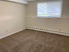 ONE BEDROOM APARTMENT IN DOWNTOWN RED DEER! - Photo 3